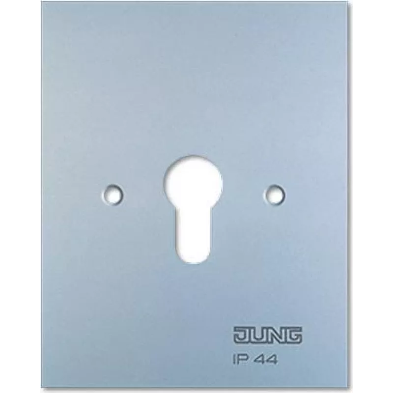 Metalinė dengiamoji plokštelė 125x100 mm be simbolių 6.28 WUG (6.28WUG)