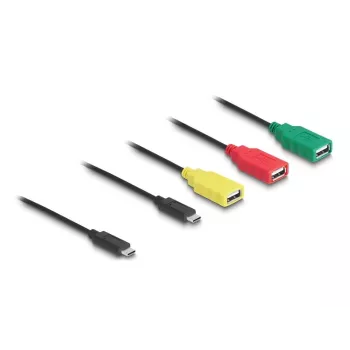 DeLOCK 4 prievadų USB 2.0 kabelinis šakotuvas USB Type-C į 3 x USB-A lizdus + 1 x USB-C kištukas