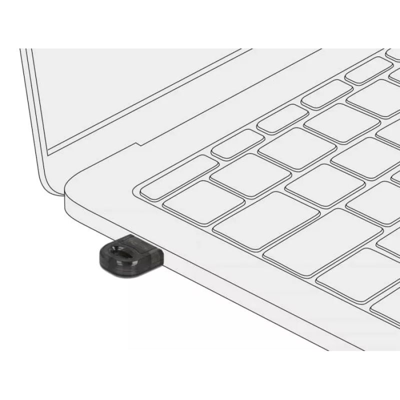 Tinklo plokštė DeLOCK 61012 Bluetooth 3 Mbit/s