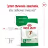 Sausas šunų maistas Royal Canin Adult Mini S 8 kg — visavertė mityba mažiems suaugusiems šunims