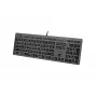 Laidinė A4Tech klaviatūra FX60H USB QWERTY — viso dydžio 100%, baltai apšviesta, pilka, USB šakotuvas