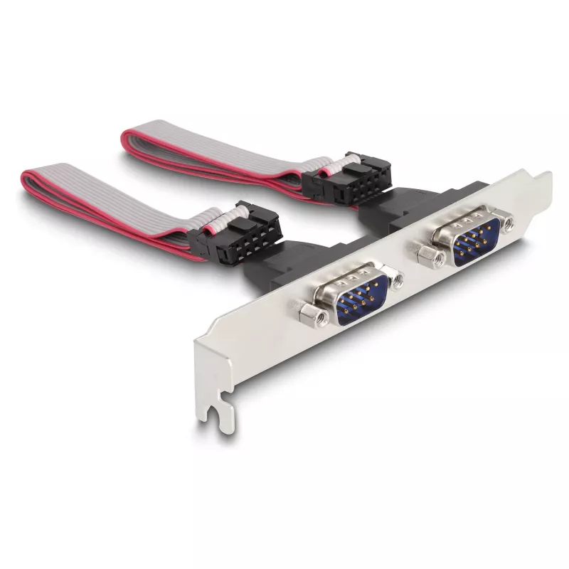 DeLOCK Mini PCIe kortelė pilno dydžio prie 2 x nuoseklioji RS-232 D-Sub 9 kontaktų
