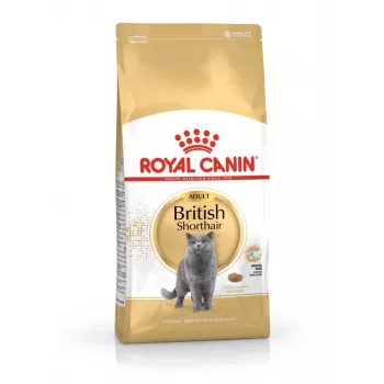 Sausas kačių maistas Royal Canin British Shorthair Adult 10 kg — paukštiena, baltymai 34%, riebalai 19%