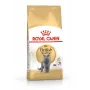 Sausas kačių maistas Royal Canin British Shorthair Adult 10 kg — paukštiena, baltymai 34%, riebalai 19%