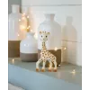 Vaikiškas dovanų rinkinys Sophie La Girafe 000013 — 2 dalių įvairiaspalvis rinkinys su barškučiu, nuo 0 mėnesių