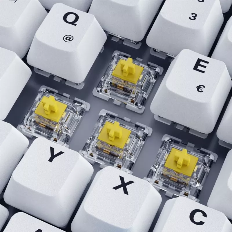 Sharkoon SKILLER SGK50 S3 PBT žaidimų klaviatūra USB QWERTZ vokiška balta