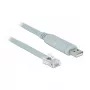 Nuoseklusis kabelis DeLOCK 63920 USB 2.0 Type-A RJ45 Pilka 0,5 m
