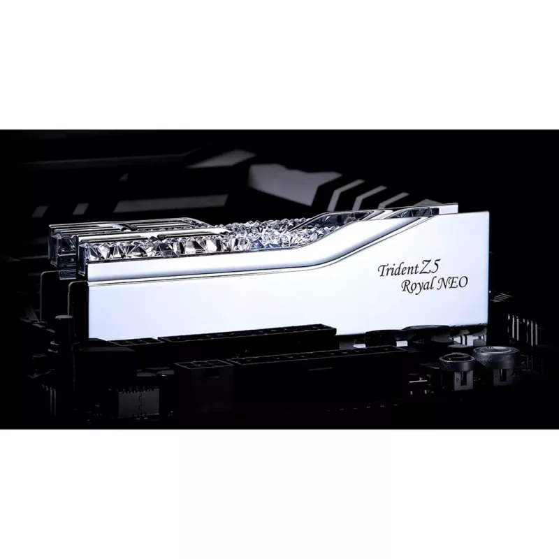 G.skill F5-8000J4048G24GX2-TR5NS atminties modulis