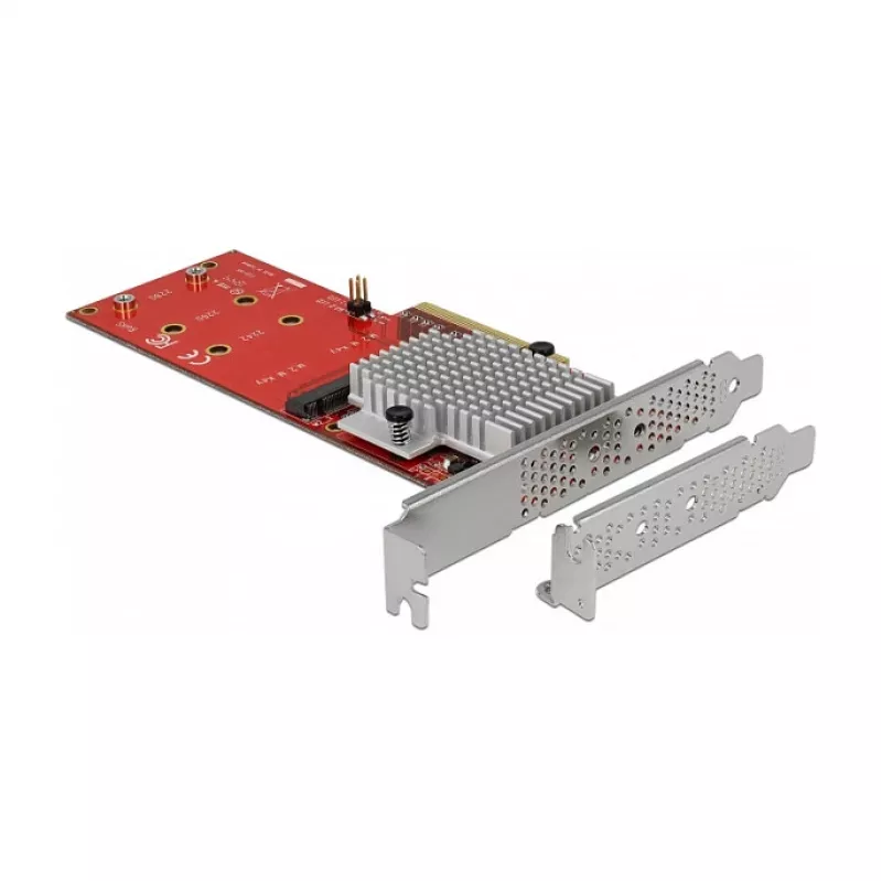 Vidinis M.2 adapteris DeLOCK 90305