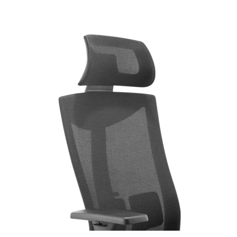 Ergonominė aukščiausios kokybės kėdė Ergo Officer ER-414
