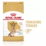 Sausas šunų maistas Royal Canin Yorkshire Terrier 8+ 3 kg — paukštiena, vyresniems Jorkšyro terjerams, baltymai 29%, riebalai 18%