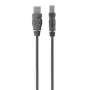 USB kabelis Belkin USB 2.0 A - USB 2.0 B 3m