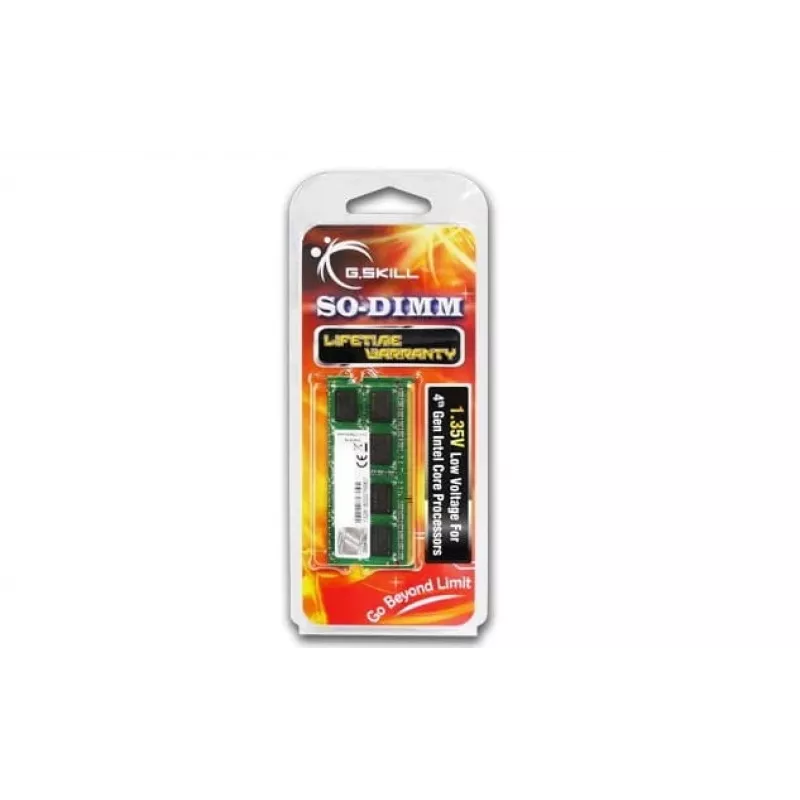 Atminties modulis G.Skill DDR3 8GB 1600MHz