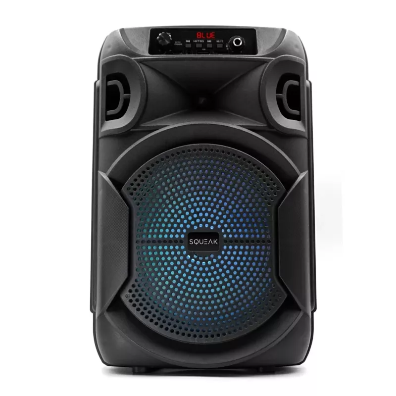 BLUETOOTH GARSIAKALBIS 5.3 E DR PULSETOWER SQ1006