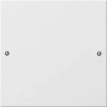 Gira 218103 tinklo įrenginys baltas