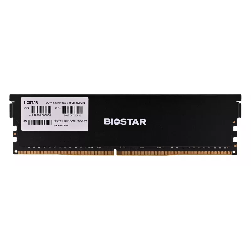 Stalinio kompiuterio DDR4 RAM BIOSTAR 16 GB 3200 MHz su radiatoriumi (modelis DO32NU4H16)
