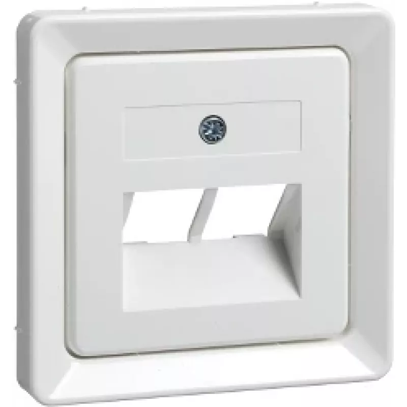 Schneider Electric GmbH 503664 Sieninė plokštė / jungiklio dangtelis, baltas (503664)