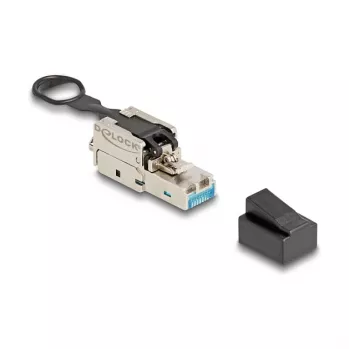 DeLOCK RJ45 kištukas montavimui vietoje Cat.6A be įrankių sidabrinis vyriškas