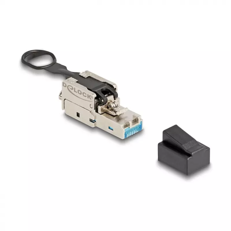 DeLOCK RJ45 kištukas montavimui vietoje Cat.6A be įrankių sidabrinis vyriškas