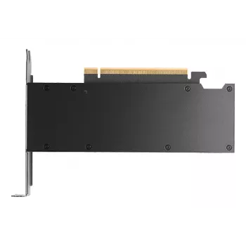 Grafikos plokštė NVIDIA RTX PRO 2000 16 GB GDDR7