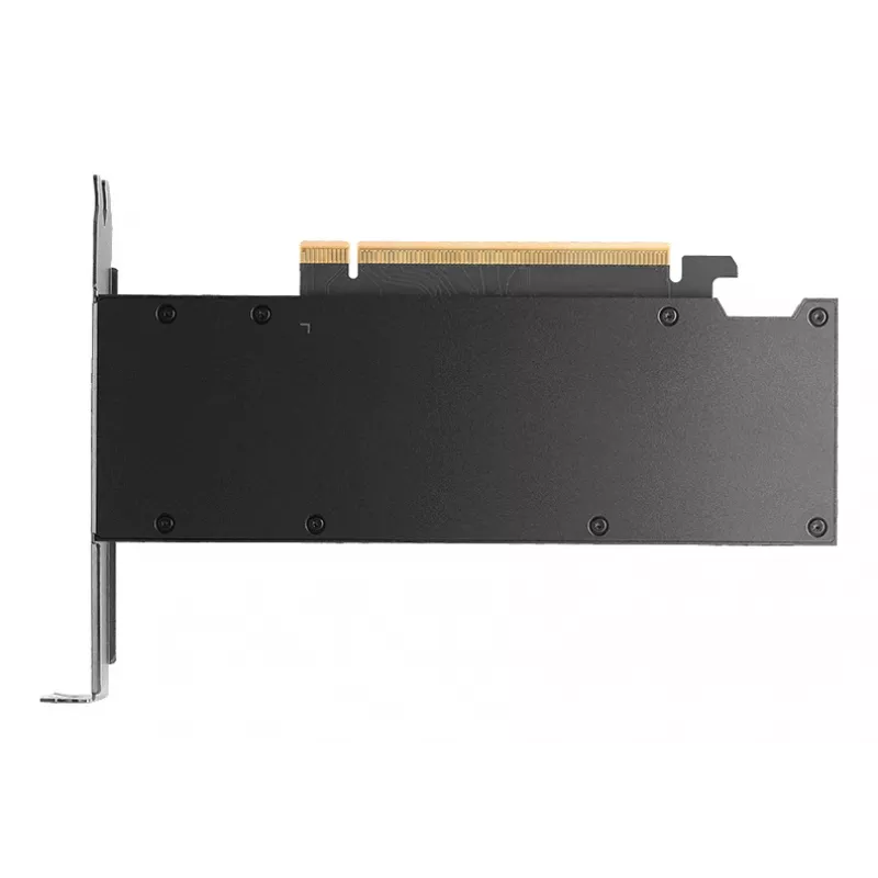 Grafikos plokštė NVIDIA RTX PRO 2000 16 GB GDDR7