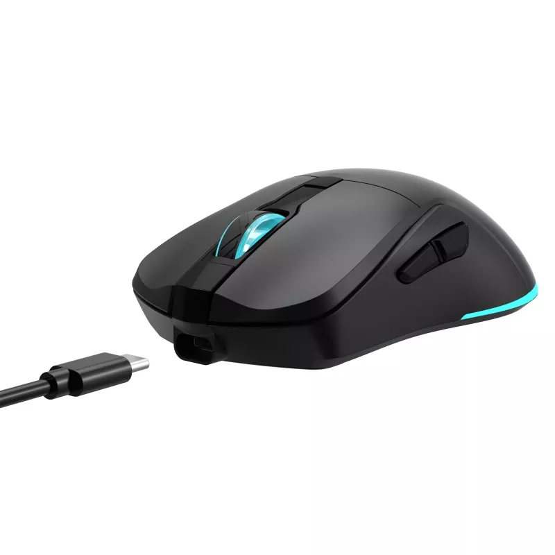 Pelė Baracuda BGM-121 Turtle juoda USB