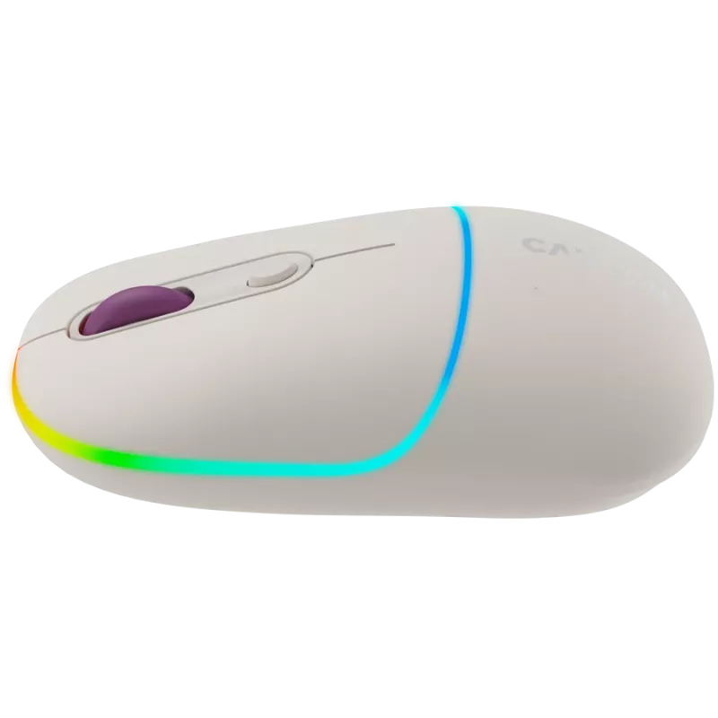 CANYON pelė MW-22 2-in-1 BT/Wireless Rice