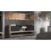 Cama RTV PORTO 2D Spintelė 150x38x50 ąžuolas/juodas