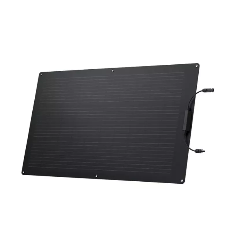 EcoFlow ZMS330 saulės baterija 100 W Monokristalinis silicis