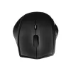 Logilink belaidė pelė BT5.0, ergonominė, juoda