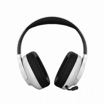 Ausinės CANYON EGO GH-15 2in1 BT baltos