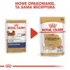Šlapias šunų maistas Royal Canin Chihuahua Adult pakelis 85 g — paukštiena, suaugusiems čihuahua 1–1,9 kg