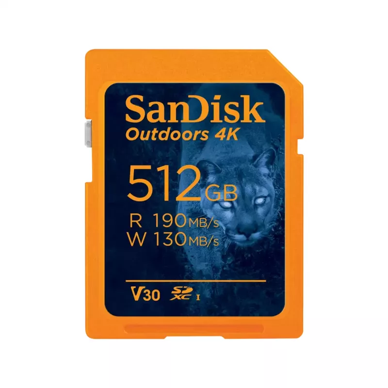 „Flash“ atmintis SanDisk 32GB SDHC Class 10 SDSDXW2-064G-GNCIN