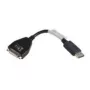 Lenovo 43N9160 DVI-D DisplayPort Juoda