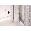 DIGITUS® 7HE sieninis korpusas - Pilka, RAL 7035 - 48,3 cm (19) (DN-19 07-U)