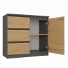 Komoda Topeshop 1D3S 80×40×75 cm, antracito ąžuolo amatininko matinė