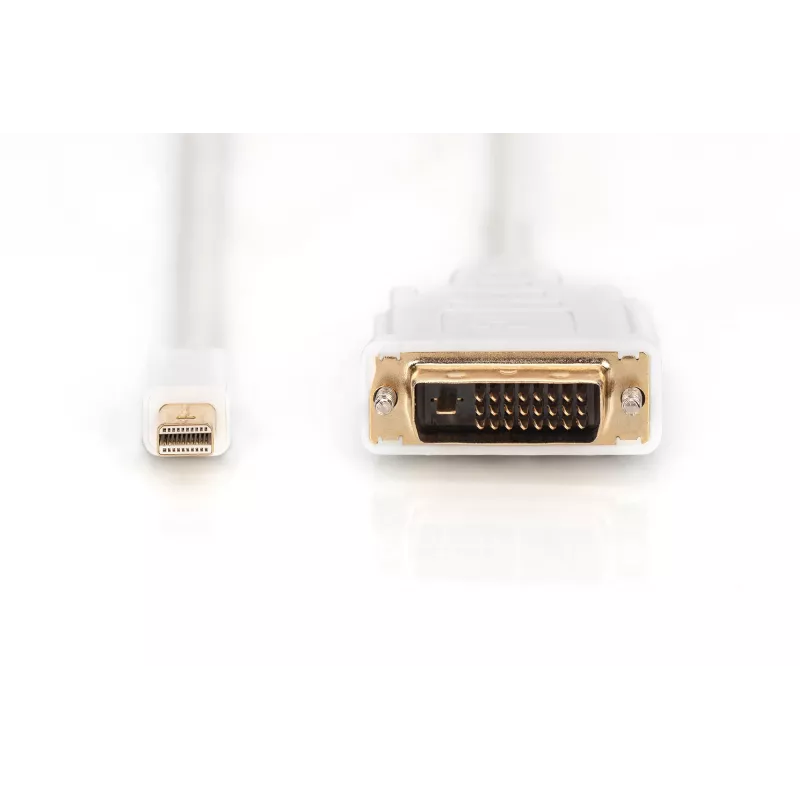 Laidas DisplayPort 1.1a mini DP-DVI tyPA MM 2,0 m