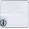 Busch Jaeger 2118 GKSLN/11-34 Baltas (1710-0-3793)