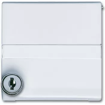 Busch Jaeger 2118 GKSLN/11-34 Baltas (1710-0-3793)