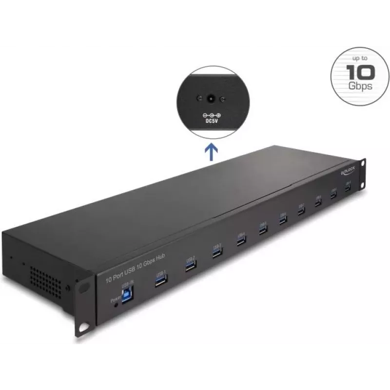 DeLOCK 64240 19 colių pramoninis USB šakotuvas, 10 x USB-A, 10 Gbps