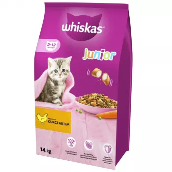 Sausas kačių maistas Whiskas Kitten Chicken, 14 kg — augantiems kačiukams, 35,7% baltymų, 13,6% riebalų