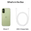 Išmanusis telefonas Apple iPhone 17 256GB Sage — 256 GB atminties, Sage spalva