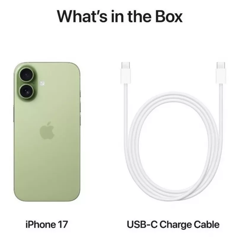 Išmanusis telefonas Apple iPhone 17 256GB Sage — 256 GB atminties, Sage spalva