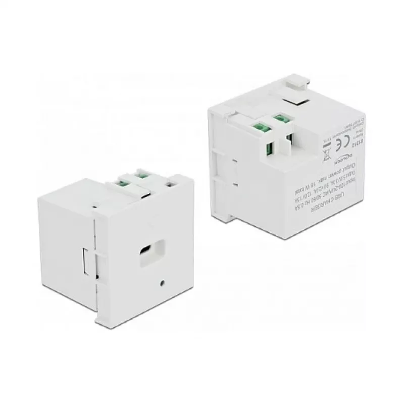 Sieninis lizdas DELOCK 81312 USB-C 100–240 V 0,5 A Balta, LED maitinimo indikatorius