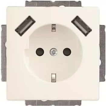 Busch-Jaeger SCHUKO-2x USB kištukinis lizdas 20 EUCB2USB-884 (2CKA002011A6277)