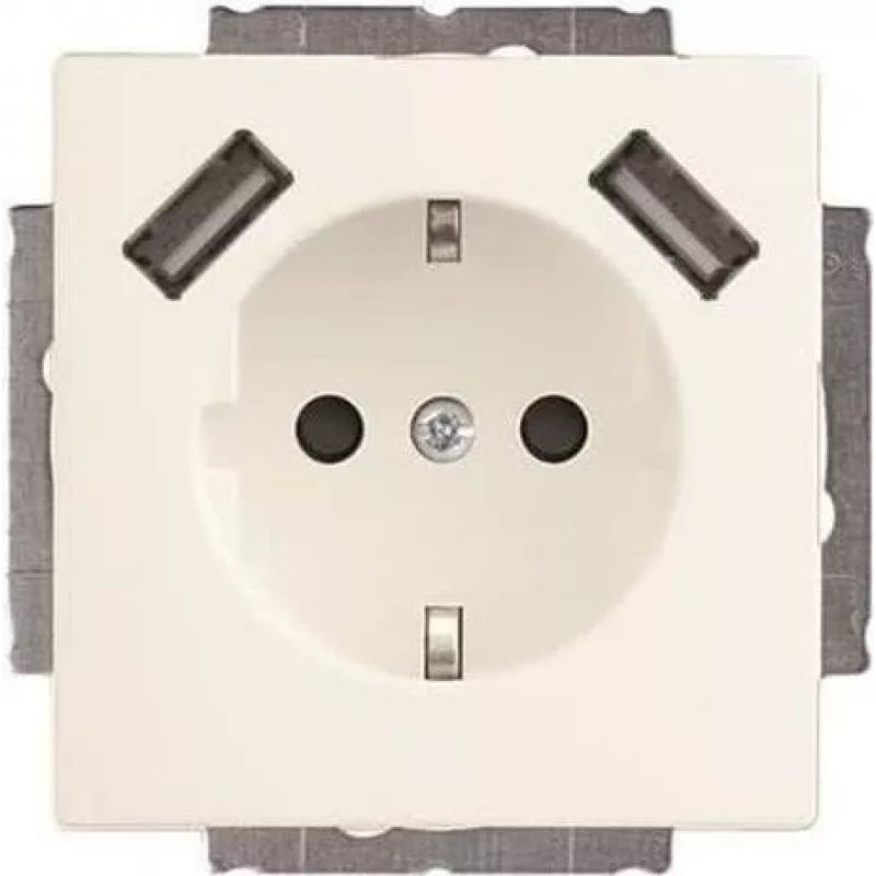 Busch-Jaeger SCHUKO-2x USB kištukinis lizdas 20 EUCB2USB-884 (2CKA002011A6277)