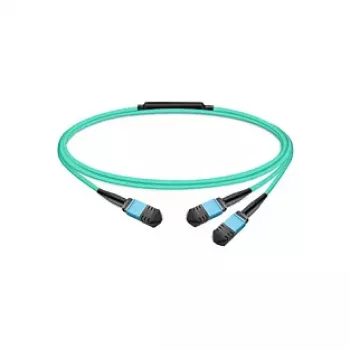 Molex PN pasyvus šviesolaidinis kabelis MMF MPO12 APC 7 m