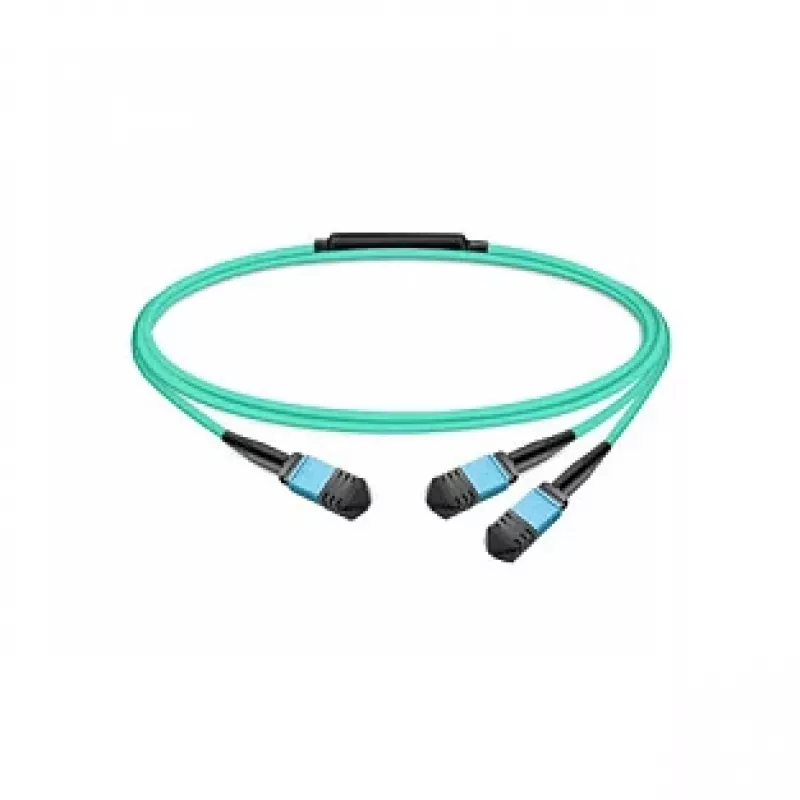 Molex PN pasyvus šviesolaidinis kabelis MMF MPO12 APC 7 m