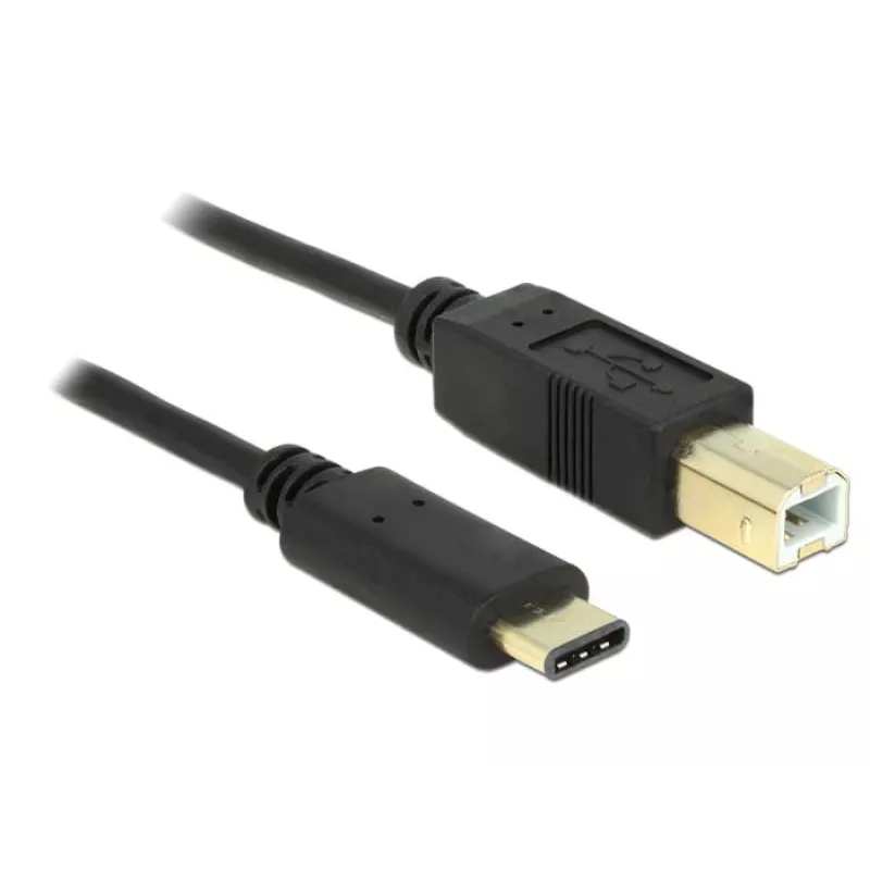 USB laidas DeLOCK 2m USB2.0-C/USB2.0-B