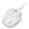 Sharkoon OfficePal M25W belaidė biuro pelė, dešinei rankai, 4000 DPI